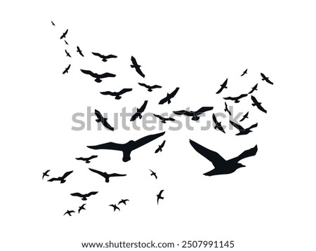 Silhouettes of Birds. Black-winged Shadows. Flock of Birds in Elegant Shapes across the twilight sky. Graceful Avian Outlines. Aerial Dance of Feathered Creatures. Sleek Soaring Birds on the Horizon.