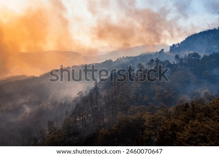 Similar – Image, Stock Photo Wild and dangerous