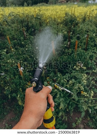 Similar – Image, Stock Photo washing day Grass Bushes