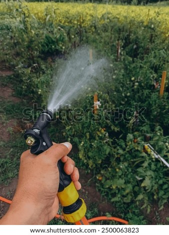 Image, Stock Photo washing day Grass Bushes