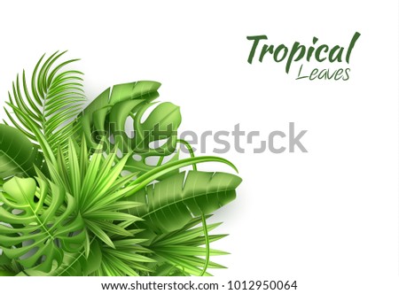 banana leaf templates download free vector art stock graphics