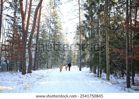 Similar – Image, Stock Photo Beautiful winter forest with snowy trees, aerial view