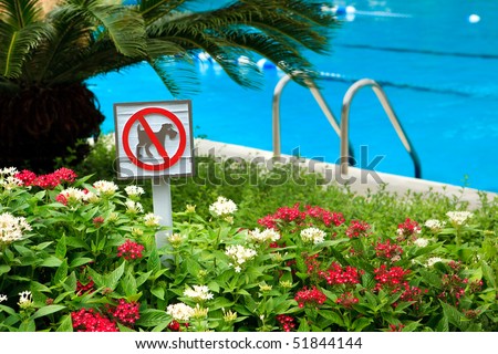 A no dog allowed sign on the side of a pool.