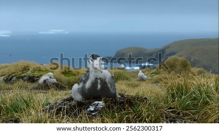 Similar – Image, Stock Photo petrel Landscape Water Sky