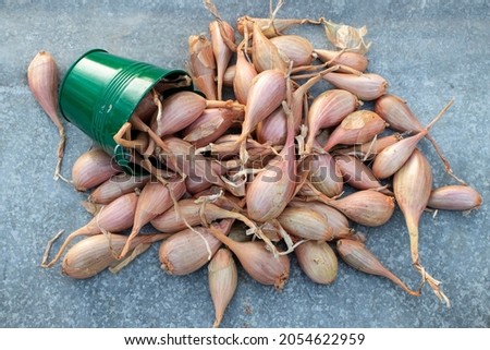 Shallots on a gray metal background.
 Foto d'archivio © 