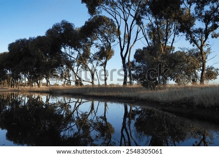 Similar – Image, Stock Photo Trees are reflected in a smooth surface of water