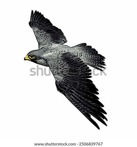 The Falcon super fast flying logo template design 