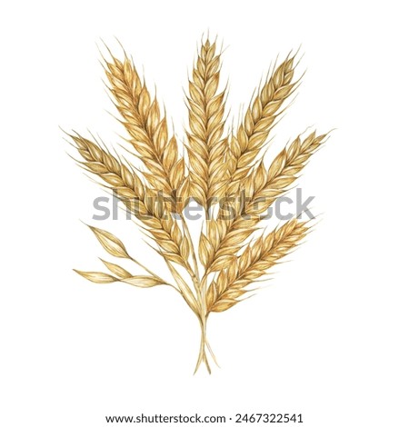 Similar – Image, Stock Photo barley Food Grain Dough
