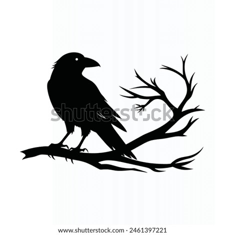 Black crow on tree branch. Vector illustration isolated from background. 