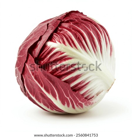 Similar – Image, Stock Photo Organic cabbage in winter in the field in Brandenburg II