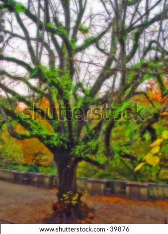 This was taken at a botanic park. It was then treated in photoshop to give it a dreamy effect.