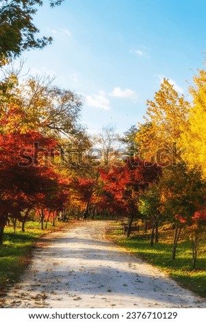 Similar – Foto Bild Herbstsonate Umwelt Natur