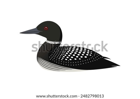 common loon bird vector art illustration image