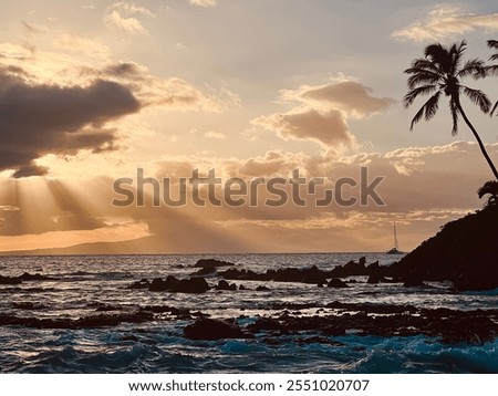 Similar – Image, Stock Photo daydream Pacific Ocean