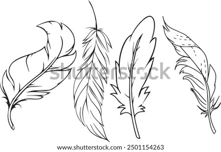 Similar – Image, Stock Photo Birds of a feather birds