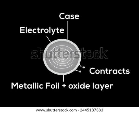 Electrolytic Capacitor | Physics Capacitor | polarized capacitor 