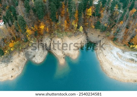 Similar – Foto Bild Bunte dichte herbstliche Waldlandschaft