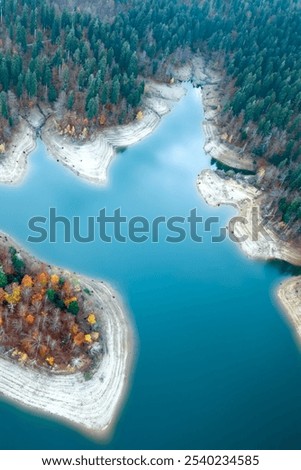 Similar – Foto Bild Bunte dichte herbstliche Waldlandschaft