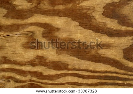 Horizontal photo of wood grain pattern