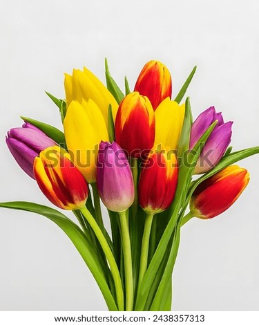 Similar – Image, Stock Photo Tulips bouquet tulips