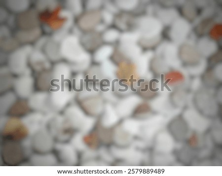 Similar – Image, Stock Photo Various pebbles on black sandy shore in sunlight