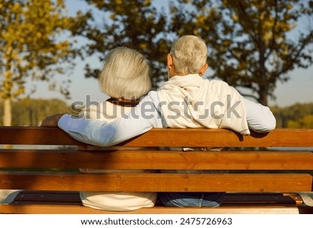 Similar – Image, Stock Photo An elderly woman sits at her laptop, notebook