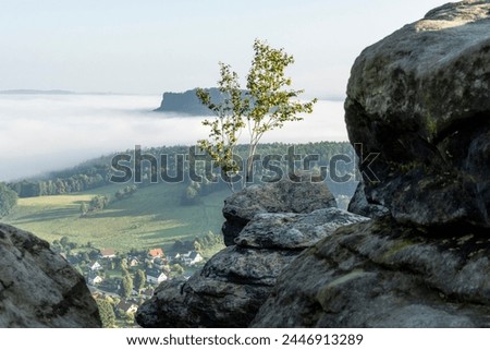 Similar – Foto Bild Lilienstein am Horizont