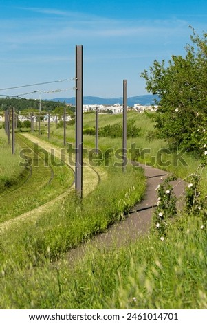 Similar – Image, Stock Photo Tree-lined path off Street