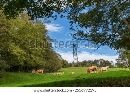 Similar – Image, Stock Photo Electric pylon in front of dramatic cloudy sky b/w photo