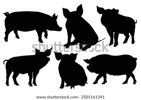 Simple hand drawing silhouettes of several pigs in various poses stand out or Pig breeds collection. Farm animals set. Black silhouette flat design. Vector illustration