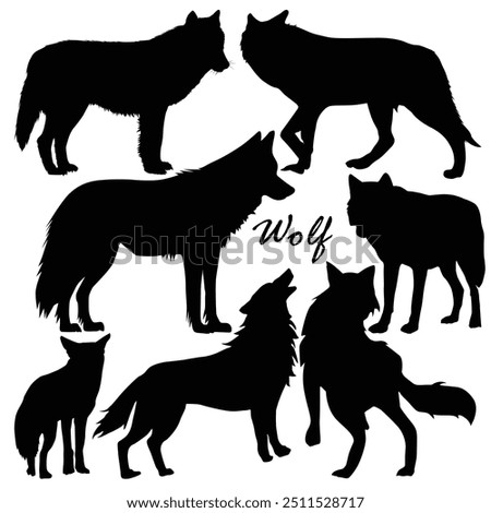 Dangerous wild animals wolf silhouettes. Wolf full body silhouette collection. Wild wolves standing in different positions. Carnivore wolves silhouette bundle. Wild coyote walking. Carnivore animals.