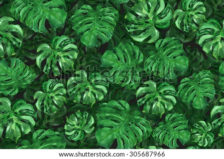 Tropical leafs pattern Monstera green foliage on a floral background. Watercolor plants illustration