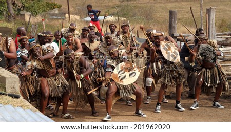 DURBAN, SOUTH AFRICA - JUNE 29: A group of men perform a traditional Zulu war dance at a wedding celebration known as Umabo in Kwa Zulu Natal, South Africa on June 29, 2013.