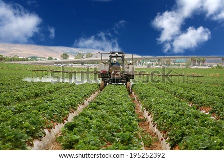 A Crop Sprayer, busy spraying Strawberry Fields with Insecticide in Orange County California. Strawberries are a vital cash crop in Southern California, they grow fast and are very tasty.