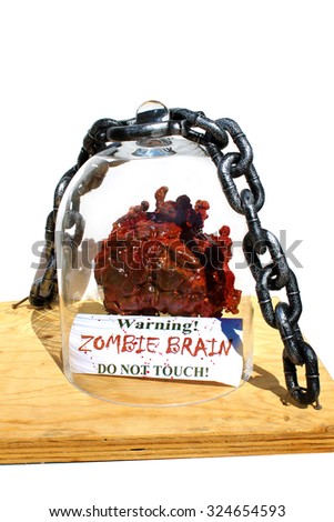 GENUINE ZOMBIE BRAIN on display under a glass bell jar with a steel chain locking it down, with a Warning Sign. Warning ZOMBIE BRAIN Do Not Touch. Zombies are known for being undead and eating brains