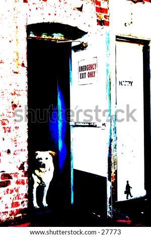 Pop Art of a dog in a doorway\
\
Big Bold images from the 60\'s and 70\'s, and again now!\
\
In this gallery you will find My images as Pop Art, perfect for Posters, Post Cards, Greeting Cards, Web Sites, Back Grounds and more.