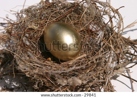 golden eggs in a bird nest representing finincial freedom and security in the image of a Nest Egg