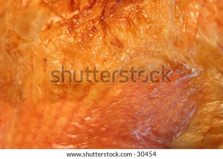 a sample section of a thanks giving turkey\'s golden cooked skin fresh from the oven and ready to be carved up and served to family and friends