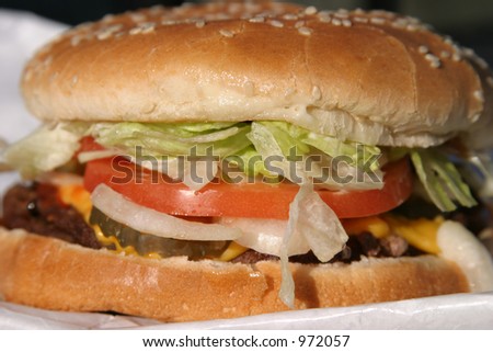 Hot fresh cooked Hamburger with tomatoes lettuce onions cheese and Special sauce fresh in its wrapper