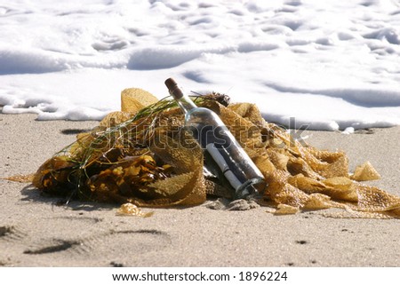 message in a bottle laying in sea weed