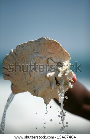 a person picks up a Conch shell out of the ocean as water drains out with a blue sky and green ocean background