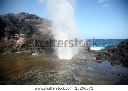 a blow hole on the island of maui in hawaii sends burst of water high into the air