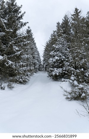 Similar – Image, Stock Photo Ruhr Nature River Forest