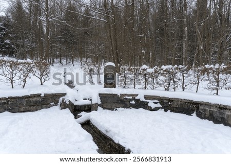 Similar – Image, Stock Photo Ruhr Nature River Forest