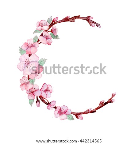 Watercolors on white background. Watercolor pink flowers. Wedding decor. Wreath. Cherry blossoms