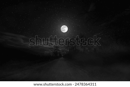 Similar – Image, Stock Photo Full moon on dark gray sky at night