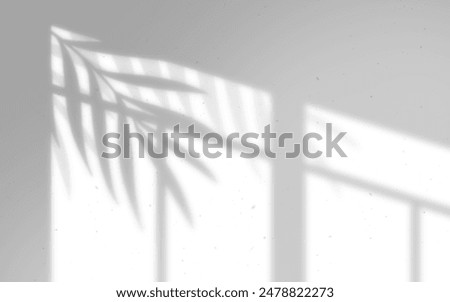 Similar – Image, Stock Photo windows Window