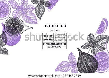 Hand drawn fig fruits design template. Organic fresh food vector illustration. Retro fig fruit banner.