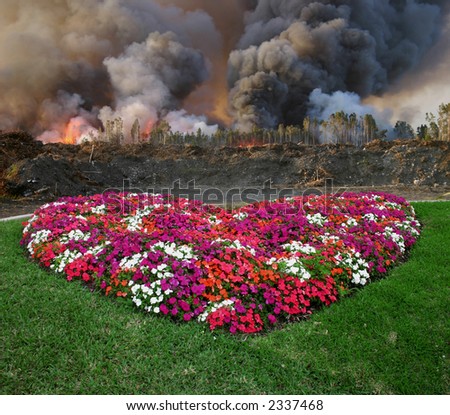 Heart made of flowers - Pink & Green. Forest on fire in background.