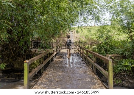 Similar – Image, Stock Photo foliage Footbridge